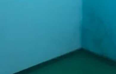 Imagem 2: Aluga-se uma casa no clima bom 2