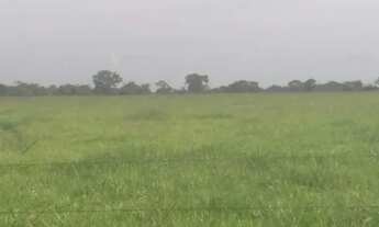 Imagem 3: Fazenda a venda no Mato Grosso R$15.800,0000 301ha