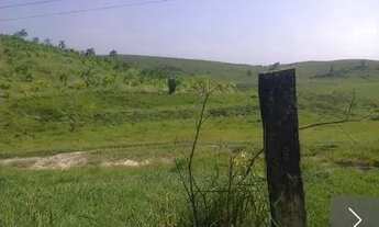 Imagem 2: Fazenda em Miracatu 230 alqueires paulista