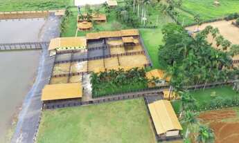 Imagem 4: Fazenda 16 alq. Alto Padrão em Nova Glória só R$ 8.500.000