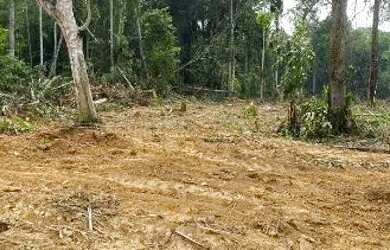 Imagem 4: Lote jerusalem da Amazônia