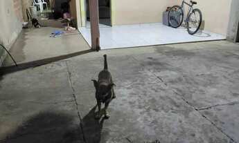 Imagem 2: R Casa em Icoraci