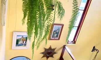 Imagem 6: Casa 4 Dormitórios sendo um térreo, 2 Salas, cozinha planejada, deck parte superior, 300 m