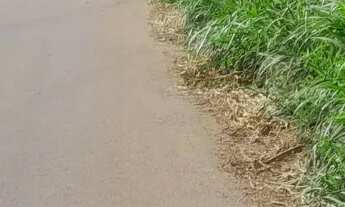 Imagem: Chacaras no sítio novo