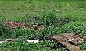 Imagem 2: LOTE QUITADO NO JARDIM EUROPA - LUZIMANGUES