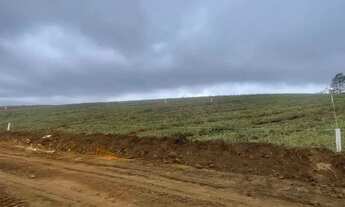 Imagem 5: SEU TERRENO EM CAUCAIA DO ALTO-COTIA/SP!