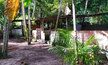 Imagem 4: Sítio para venda ou troca