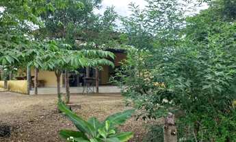 Imagem 5: Chácara a venda cocalzinho Goiás