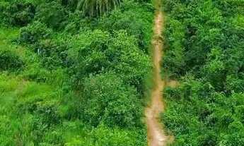 Imagem 4: Imóvel para venda possui 220000 metros quadrados em Centro - Iranduba - AM