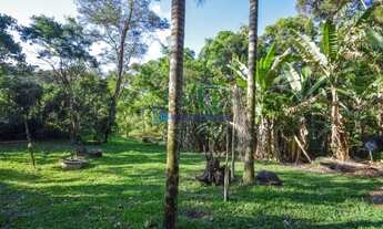 Imagem 5: Área rural na região de Mogi das Cruzes