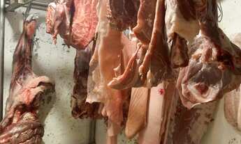 Imagem 7: Açougue Completo e em Funcionamento na Zona Leste