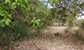 Imagem 4: Terreno em genipabu a 1 quilômetro do centro 10 por 40