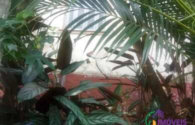 Imagem 5: TERRENO - VILA BAETA NEVES - SP