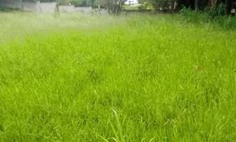 Imagem 4: VIANOPOLIS - BETIM/MG