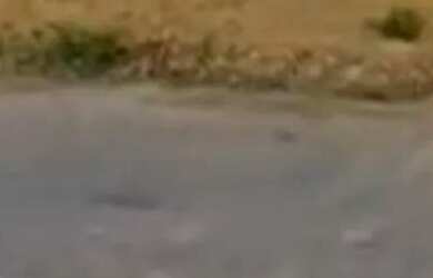 Imagem: Ibituruna Excelente localização 484 Metros