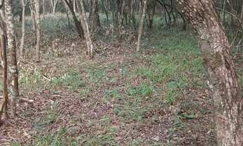 Imagem 7: Chácaras de 3mil mt com córrego nao perca essa oportunidade!