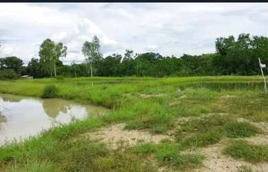 Imagem 4: Sítio 3km do parque Novo Mato Grosso