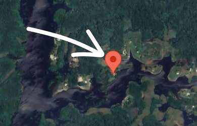 Imagem 5: LAGO DO UBIN - TERRENO COM 78.903M2, CASA COM 2 QUARTOS, VARANDA E ÁRVORES FRUTÍFERAS