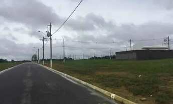 Imagem 5: Nova Amazonas com lotes prontos para construir