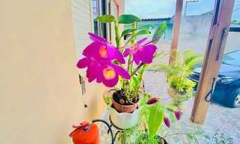 Imagem 2: Oportunidade de casa térrea muito próxima ao comércio do Alvinópolis!