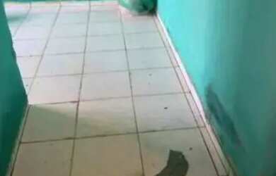 Imagem 2: Vende_se ou troca_se está casa ?