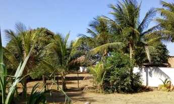 Imagem: Chácara localizada no Sítio Capim - Arapiraca