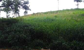 Imagem 4: Terreno estrada de Werneck Paraíba do Sul-RJ