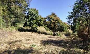 Imagem 7: Chácara com 3,16 hectares com casa, represa, pasto, área de plantio, 2 km do rio Tibagi
