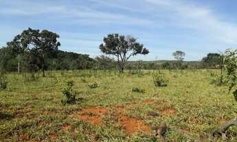 Imagem 7: Chacara de 10.000m2 em Sete Lagoas.QUITADA