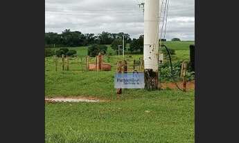 Imagem 3: Fazenda em Palestina - SP - 73 alqueires - 40 alqueires em Lavoura de soja planta mas uns