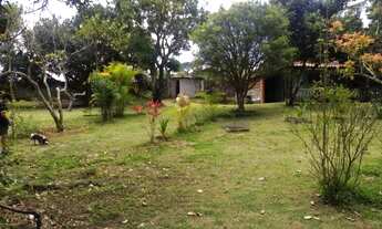 Imagem 4: Chacara com 5000 m² - Ótimo local