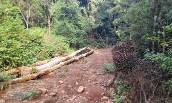 Imagem 7: Chácara à venda com um lindo riacho e árvoredos, localizada em Rolantinho!!