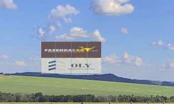 Imagem 4: Fazenda Extra ! Região de Paraúna - GO ! 113 Alqueires ! Oportunidade !