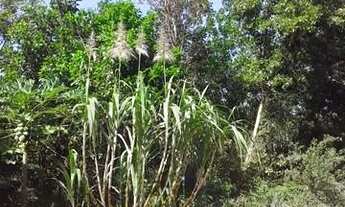 Imagem 3: Chácara para Venda em Vila Velha, Área Rural de Vila Velha, 2 dormitórios, 1 suíte, 2 banh