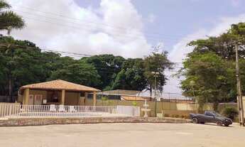 Imagem 5: Vendo lindo apartamento no cond andrea! Nascente