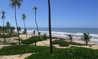 Imagem 6: Terreno com 16,3 ha e 300 metros de praia em Sítio do Conde, Bahia