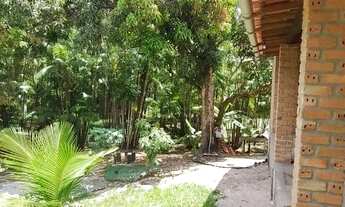 Imagem 2: Chácara com 3 dormitórios à venda, 7507 m² por R$ 500.000,00 - Centro - Morros/MA