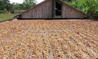 Imagem 4: Fazenda/Sítio/Chácara para venda tem 1200 metros quadrados em Centro - Belmonte - BA
