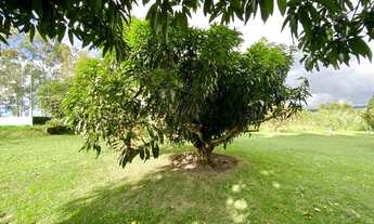 Imagem 7: Fazenda com 42 Hectares em Sairé-PE