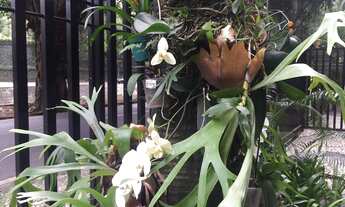 Imagem 5: Apartamento para venda tem 85 metros quadrados com 1 quarto em Leblon - Rio de Janeiro - R