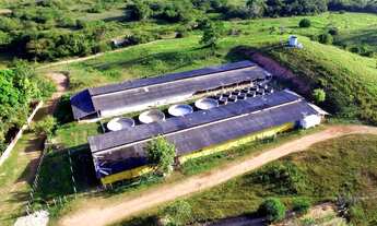 Imagem 2: Fazenda/Sítio/Chácara para venda possui 1361250 metros quadrados em Centro - Salgado - SE