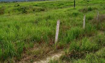Imagem 3: FAZENDA DE 42 ALQUEIRES 20 KM DE COLNIZA MATO GROSSO