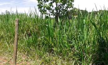 Imagem 4: Fazenda/Sítio/Chácara para venda com 1597200 metros quadrados com 3 quartos