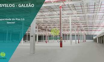 Imagem 4: Galpão para alugar em Duque de Caxias/RJ