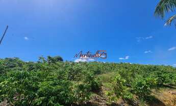 Imagem 4: Fazenda/Sítio/Chácara para venda com 2000 metros quadrados entre a serra e fundão