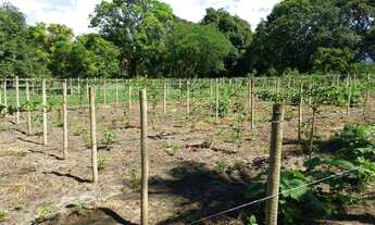 Imagem 7: Chácara à venda com 50.000 metros quadrados em Guapimirim, RJ