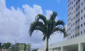 Imagem 3: Apartamento nos Bancários 79m²