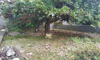 Imagem 6: Vendo lote na Praia do Ervino