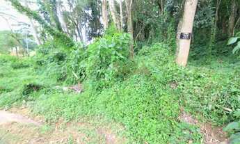 Imagem 3: Lotes exclusivos no Cônego - Lote 14