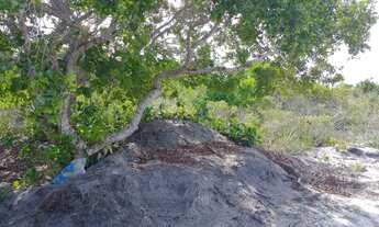 Imagem 3: Terreno Condomínio -Porto Seguro -Ba